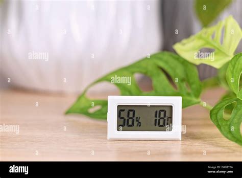 hygrometer for house plants